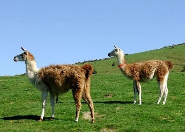La Mongie, 2 Pièces, 4 Personnes - Fr-1-404-275 Bagnères-de-Bigorre